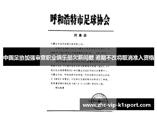 中国足协加强审查职业俱乐部欠薪问题 逾期不改将取消准入资格