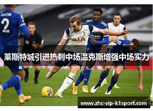 莱斯特城引进热刺中场温克斯增强中场实力