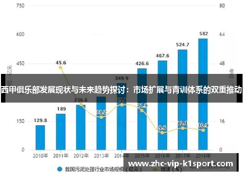 西甲俱乐部发展现状与未来趋势探讨：市场扩展与青训体系的双重推动