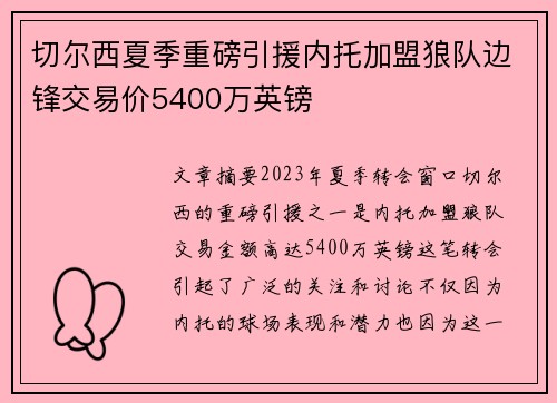 切尔西夏季重磅引援内托加盟狼队边锋交易价5400万英镑