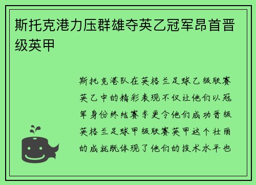斯托克港力压群雄夺英乙冠军昂首晋级英甲 斯托克港力压群雄夺英乙冠军昂首晋级英甲